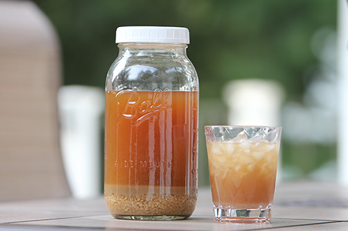 probiotic soda Fermented beverage that is Homemade soda for Healthy gut bacteria providing Dairy-free probiotics using water kefir grains pictured that you can get at our workshop as a thing to do in duluth superior